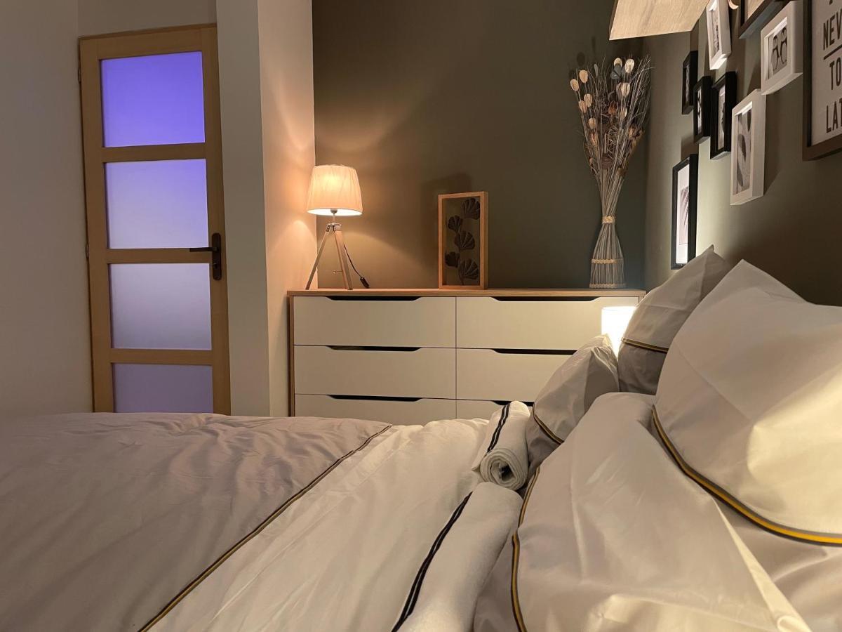 Mille Et Une Nuit, Appartement Classe 3 Etoiles En Rdc Avec Exterieur Et Parking Dole Kültér fotó